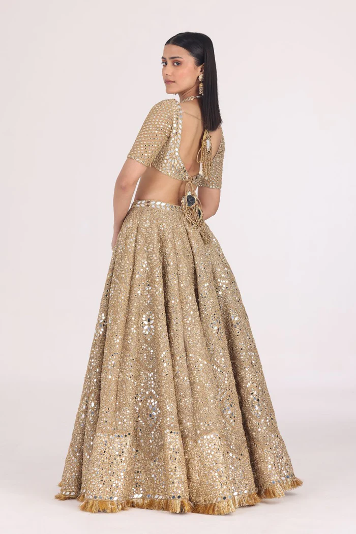 FLORAL MOTIF TISSUE LEHENGA SET